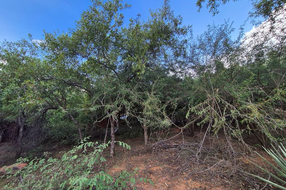 400m2 Level Stand - Photo 4