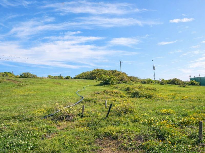 Prime 1035m2 Stand in Kloofsig Estate, Vleesbaai for Sale - Photo 5