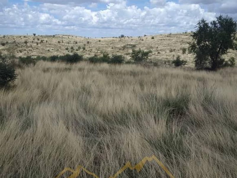 Expansive view of the natural landscape and open veld terrain on the small holding.