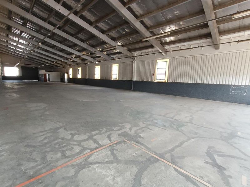 Spacious industrial warehouse interior featuring exposed steel roof trusses, corrugated metal walls, and large windows, providing a versatile open-plan workspace.