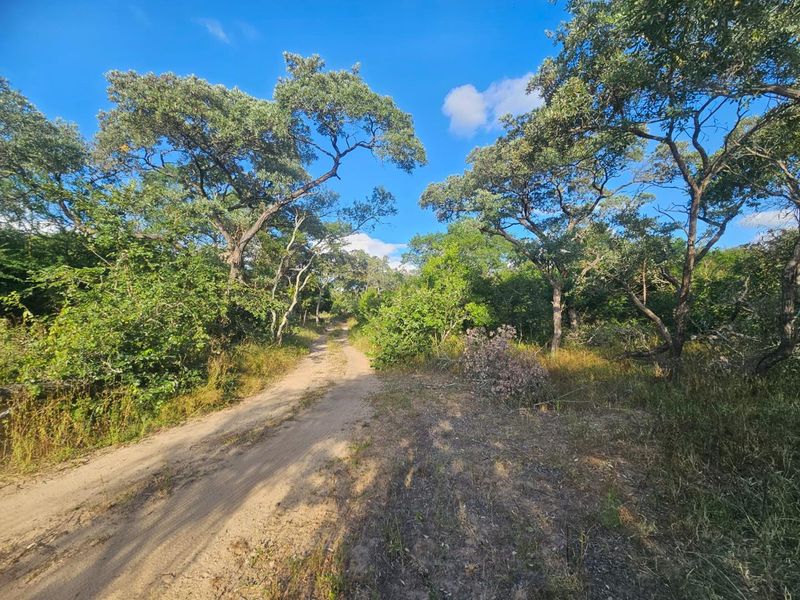 Vacant Land in MODITLO NATURE RESERVE - Photo 7