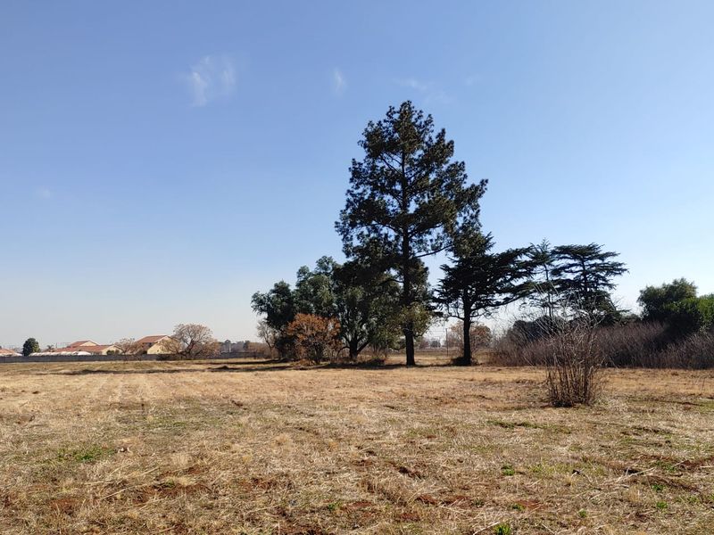 A view of a vacant commercial land plot featuring open grass fields and mature trees under a clear blue sky.