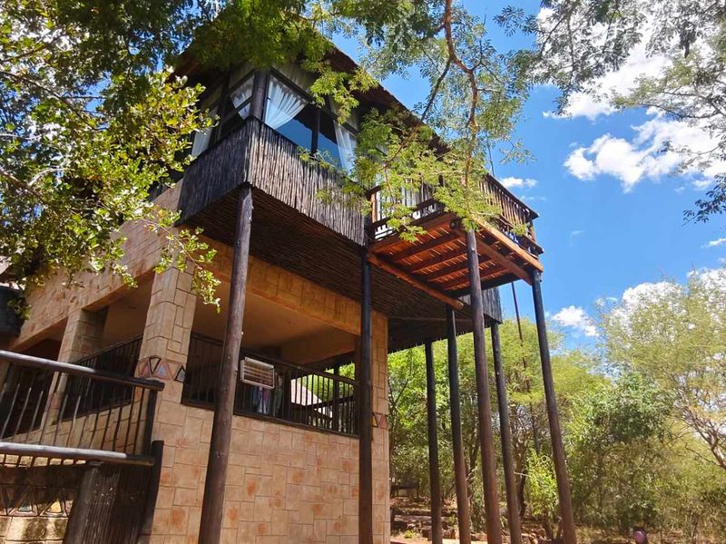 A multi-level exterior view featuring a raised timber deck, stone-clad walls, and a thatched roof set within a natural wooded environment.