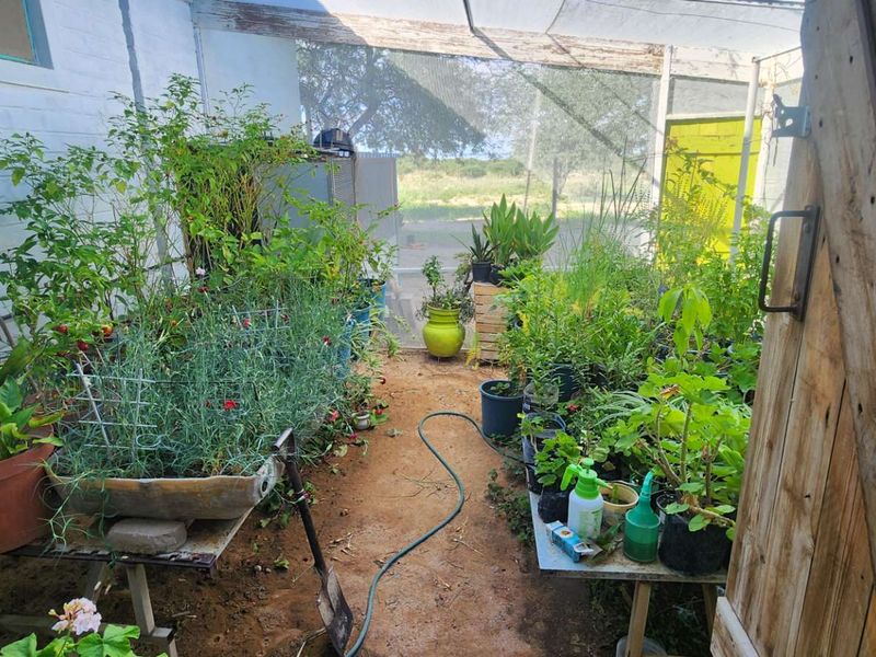 113.96Ha Smallholding for sale at Ozombanda Agri Estate! Escape back to Nature! - Photo 10