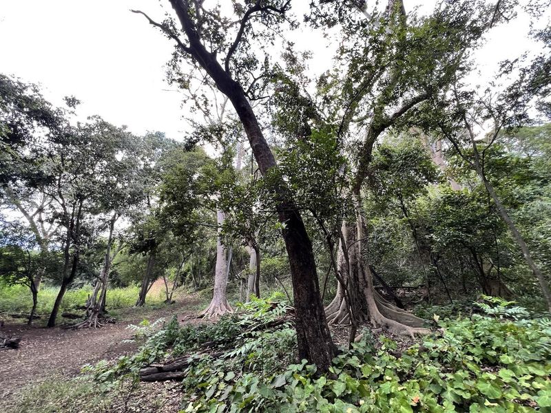 River Font Stand For Sale - Photo 3