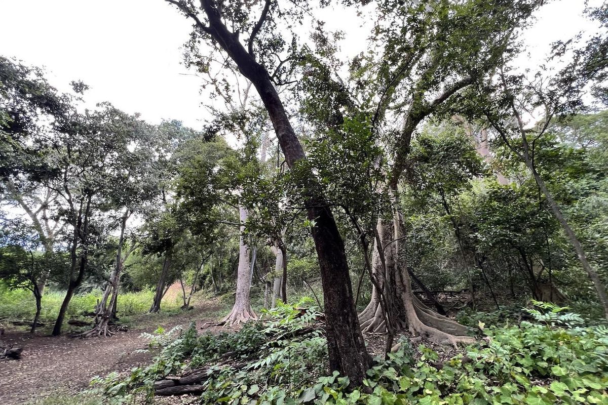 River Font Stand For Sale - Photo 3