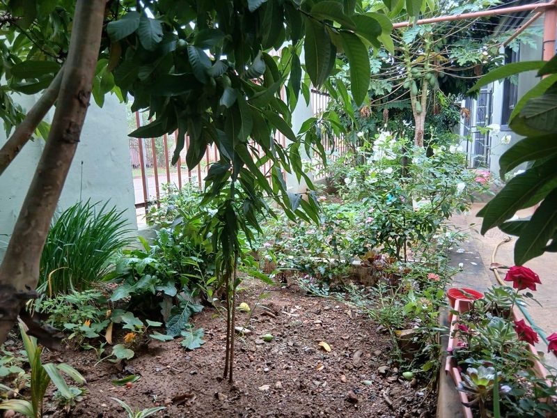 A view of the side garden area featuring established trees, shrubs, and a paved walkway alongside the property boundary.