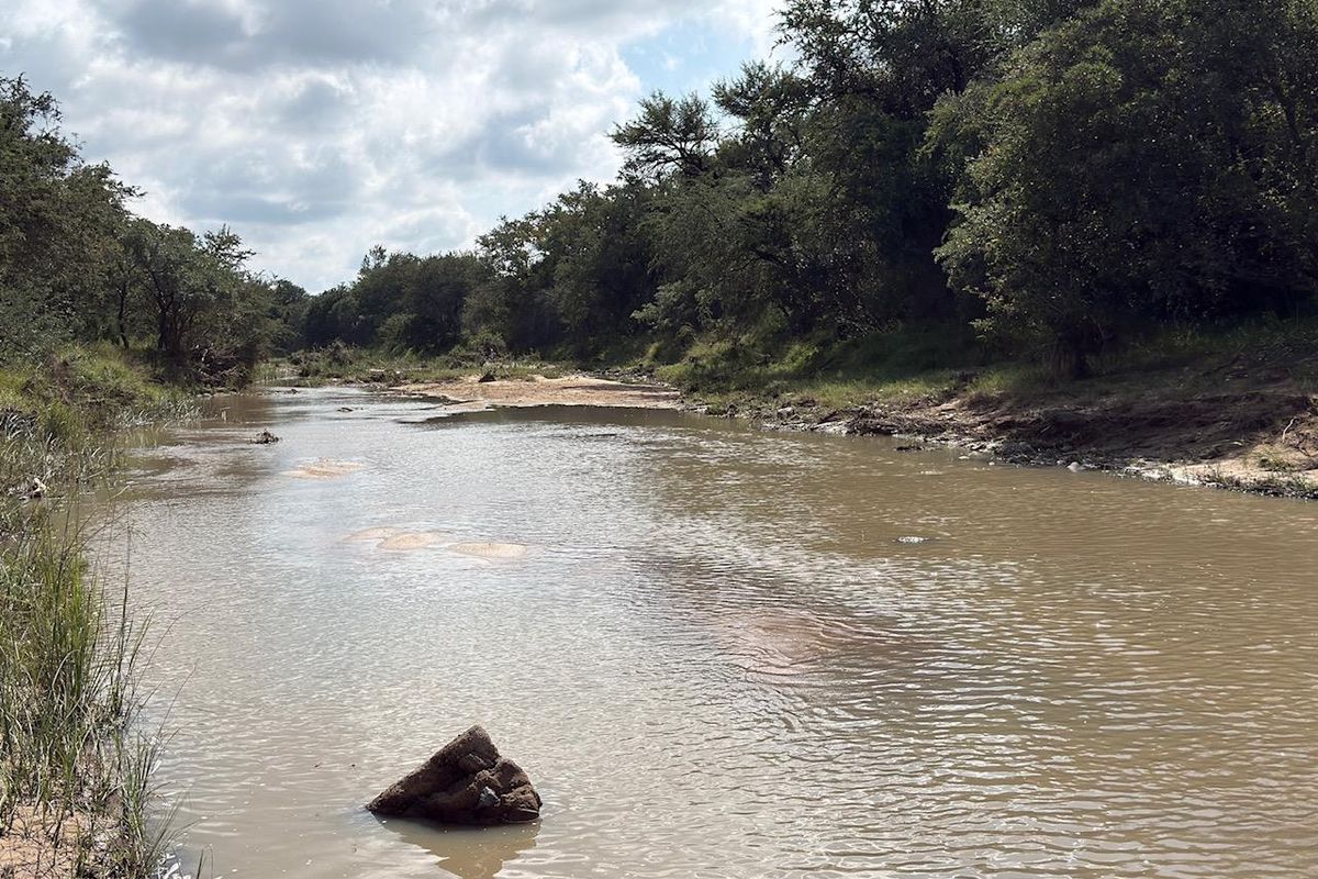 Prime vacant River Stand in Moditlo Wildlife Estate. - Photo 2
