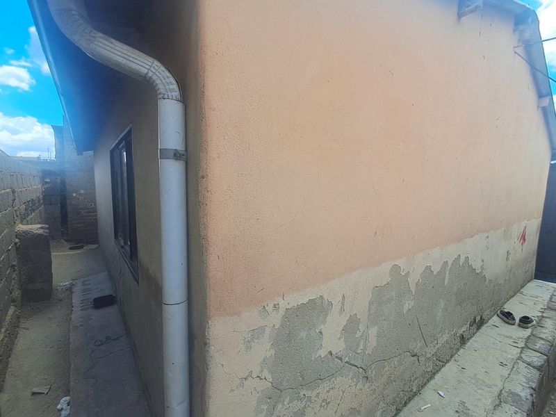 Rear exterior view of the property showing significant wear to the exterior wall finish, including peeling paint and visible cracks in the plaster.