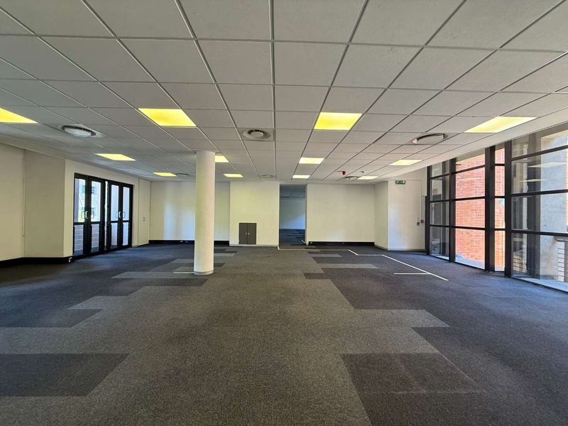 A spacious, open-plan office area featuring a suspended ceiling, recessed lighting, large windows for natural light, and neutral carpeted flooring.