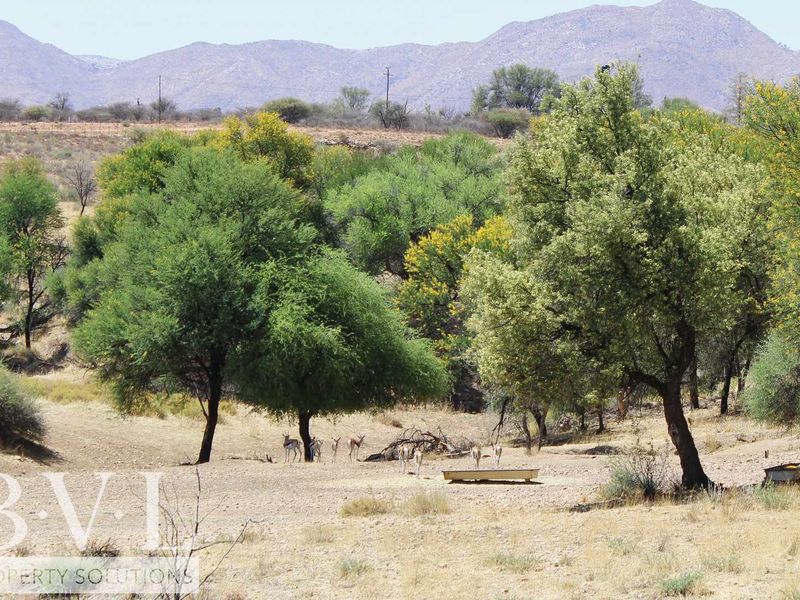 Plot 3A - East of Windhoek near Finkenstein Estate (Selling for N$ 14 400 000 - 00) - Photo 9