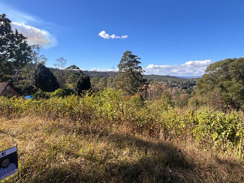 A scenic view overlooking a sloping, undeveloped residential plot with mature trees and distant hills in the background.