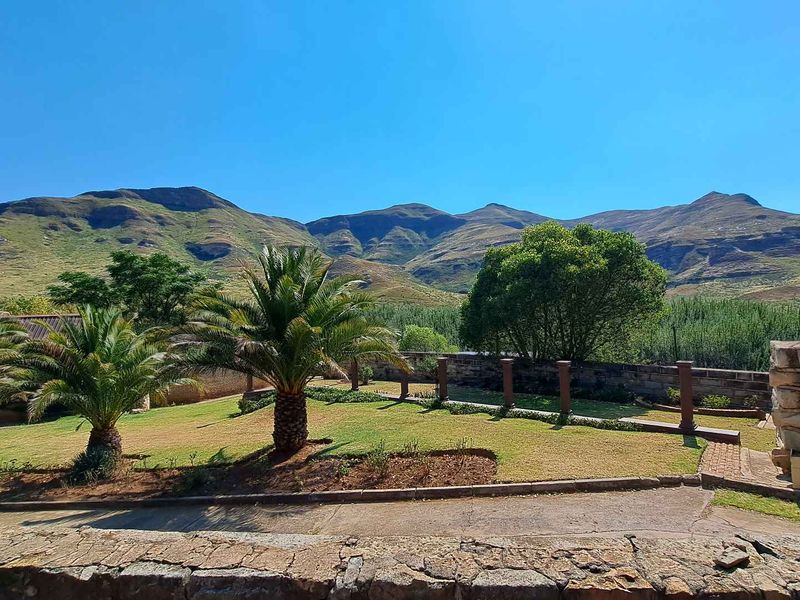 Investment Opportunity: A fully operational guest farm with AWALK TRHOUGH EXPERIENCE VIDEO INCLUDED - Photo 5