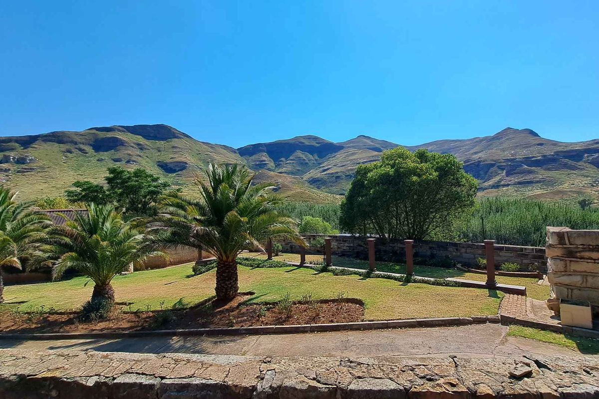 Investment Opportunity: A fully operational guest farm with AWALK TRHOUGH EXPERIENCE VIDEO INCLUDED - Photo 5