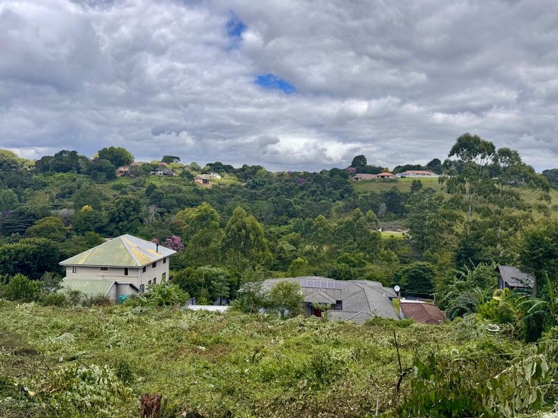 Prime Vacant Land Opportunity - Photo 3