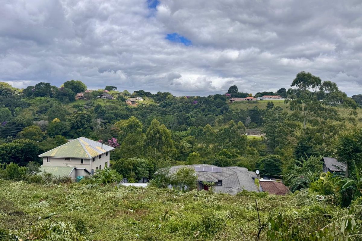 Prime Vacant Land Opportunity - Photo 3