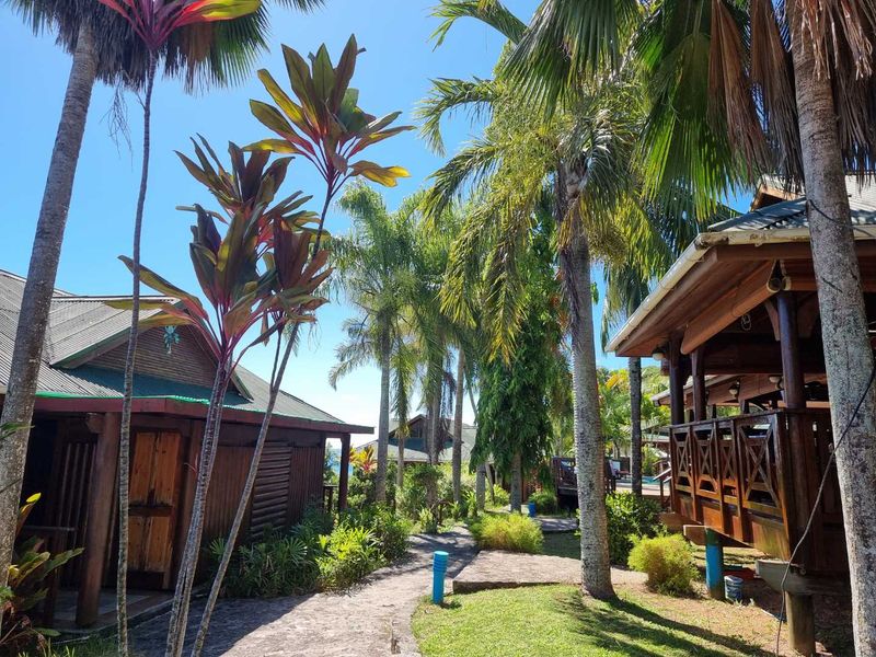 A lush tropical garden setting featuring timber-clad structures with elevated decks, connected by a paved pathway amidst mature palm trees.
