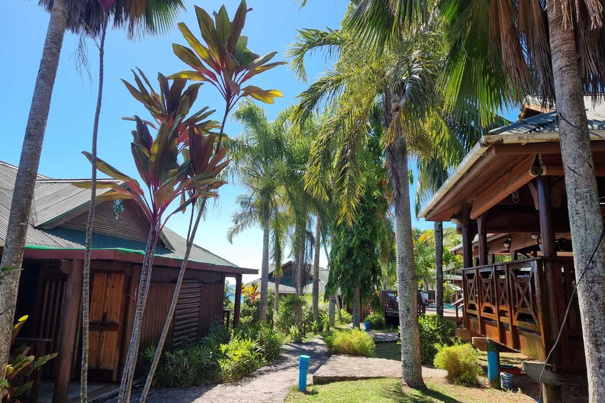 A lush tropical garden setting featuring timber-clad structures with elevated decks, connected by a paved pathway amidst mature palm trees.