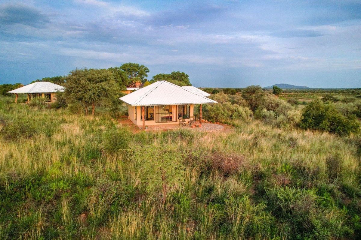 Aerial view of a detached farm cottage featuring a white metal roof, large glass windows, and a paved patio area set in natural bushveld.