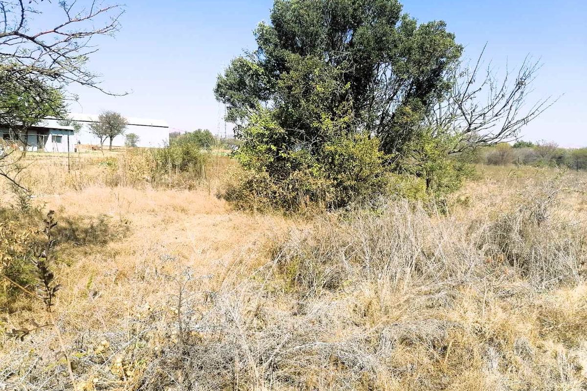 A view of the vacant agricultural land featuring natural vegetation, mature trees, and perimeter fencing.