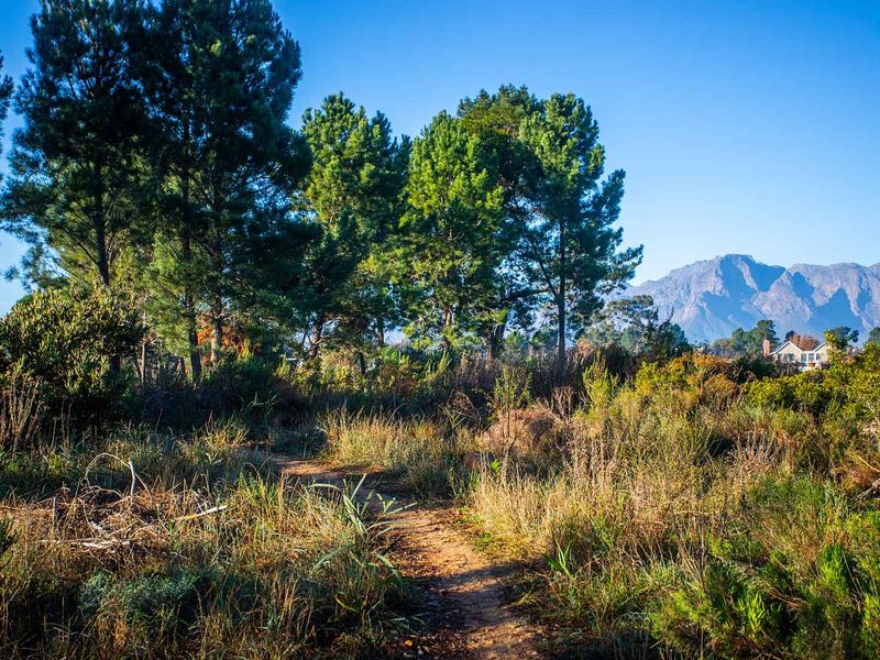 Spacious and rare vacant stand in a cul-de-sac available in The Reserve on Val de Vie Estate - Photo 8