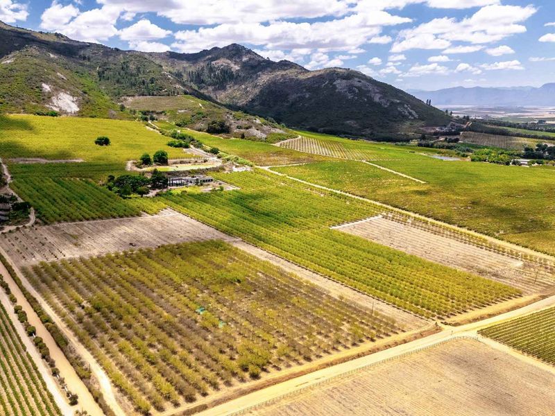 De Veluwe | Soulful country living - Photo 3