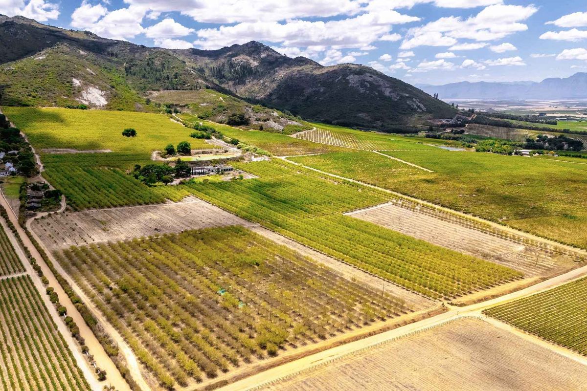 De Veluwe | Soulful country living - Photo 3