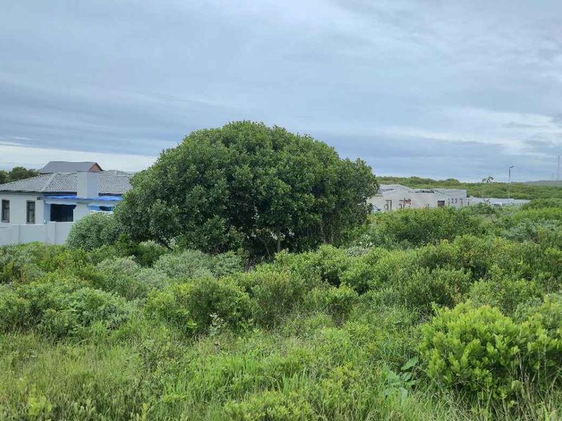 Mountain-View Stand in Popular Groenberg – Exceptional Coastal Investment - Photo 8