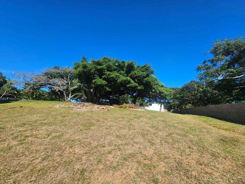 Build Your Tropical Masterpiece in St Lucia 🌿 - Photo 4