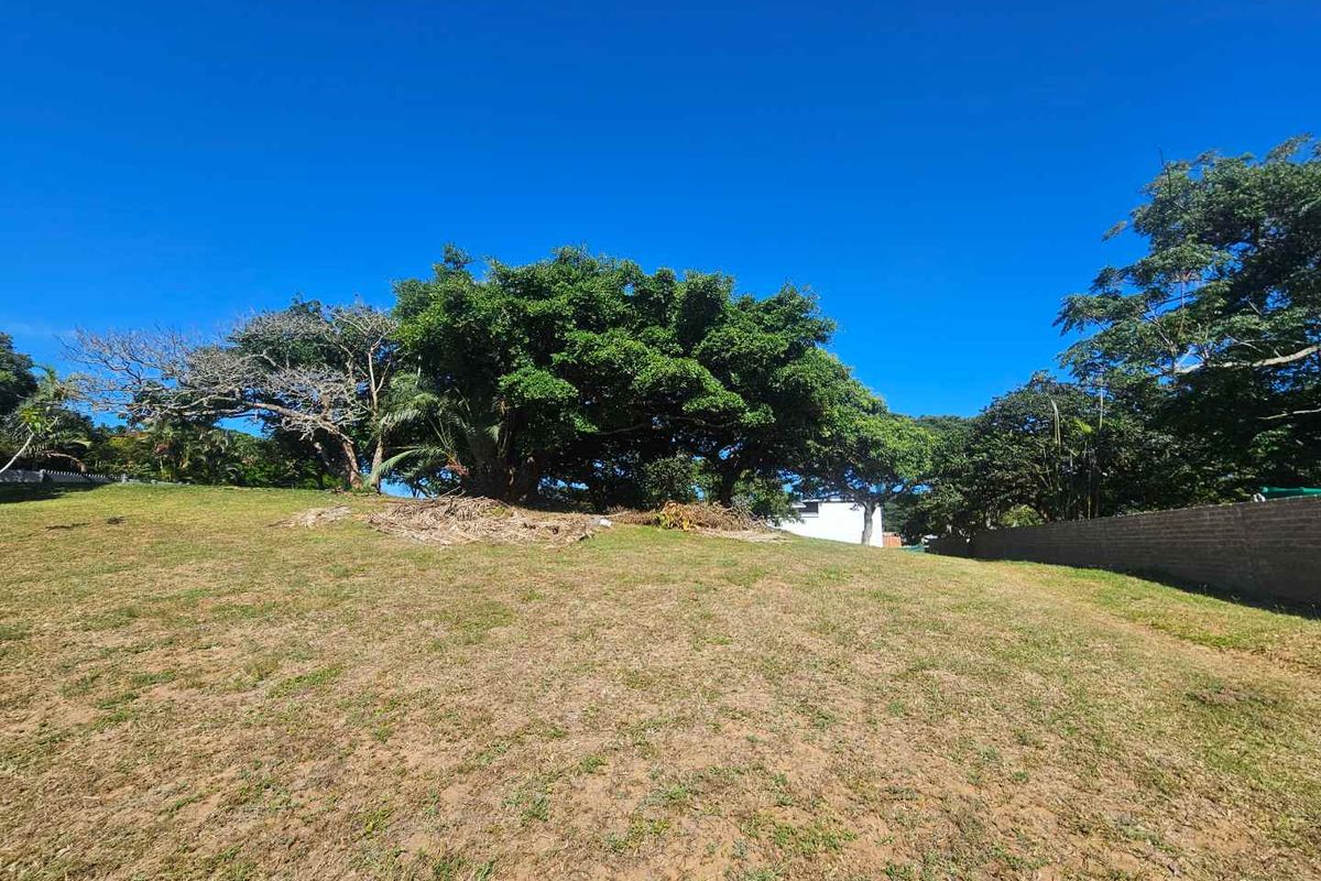 Build Your Tropical Masterpiece in St Lucia 🌿 - Photo 4