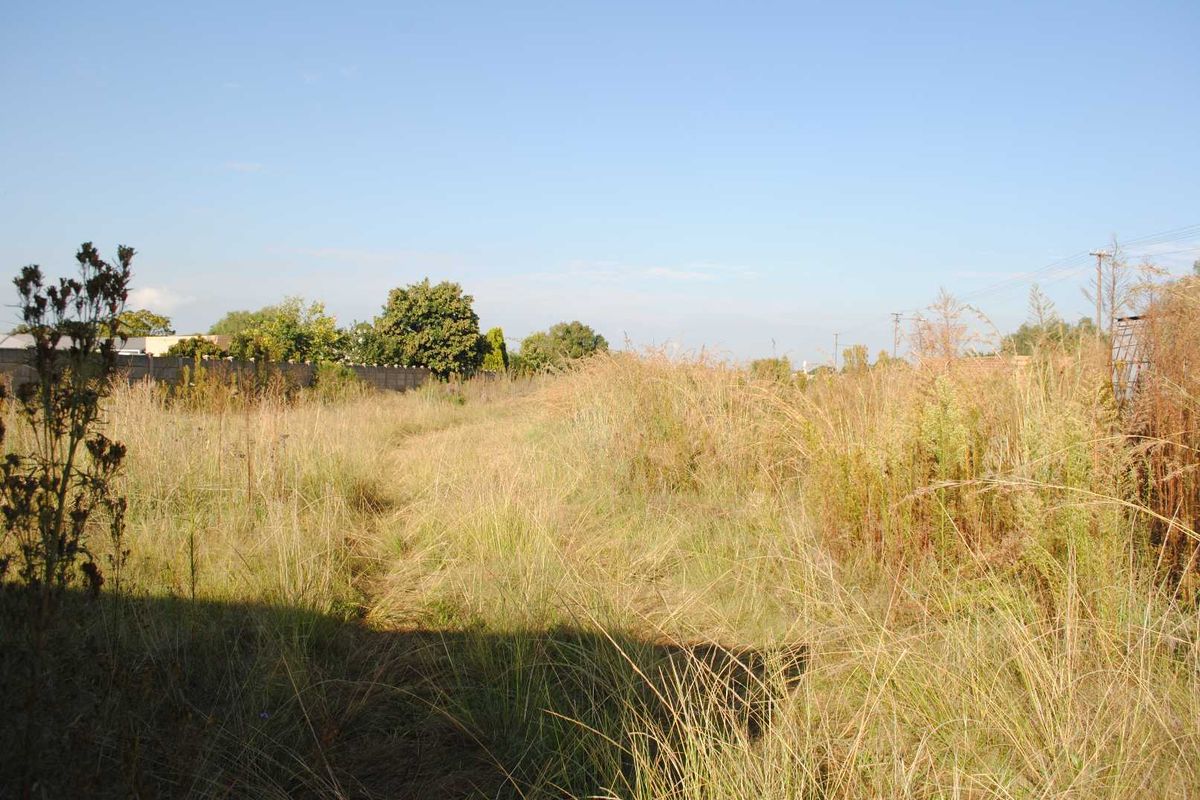 Fully walled this large, Spacious stand. Let your imagine go. - Photo 4