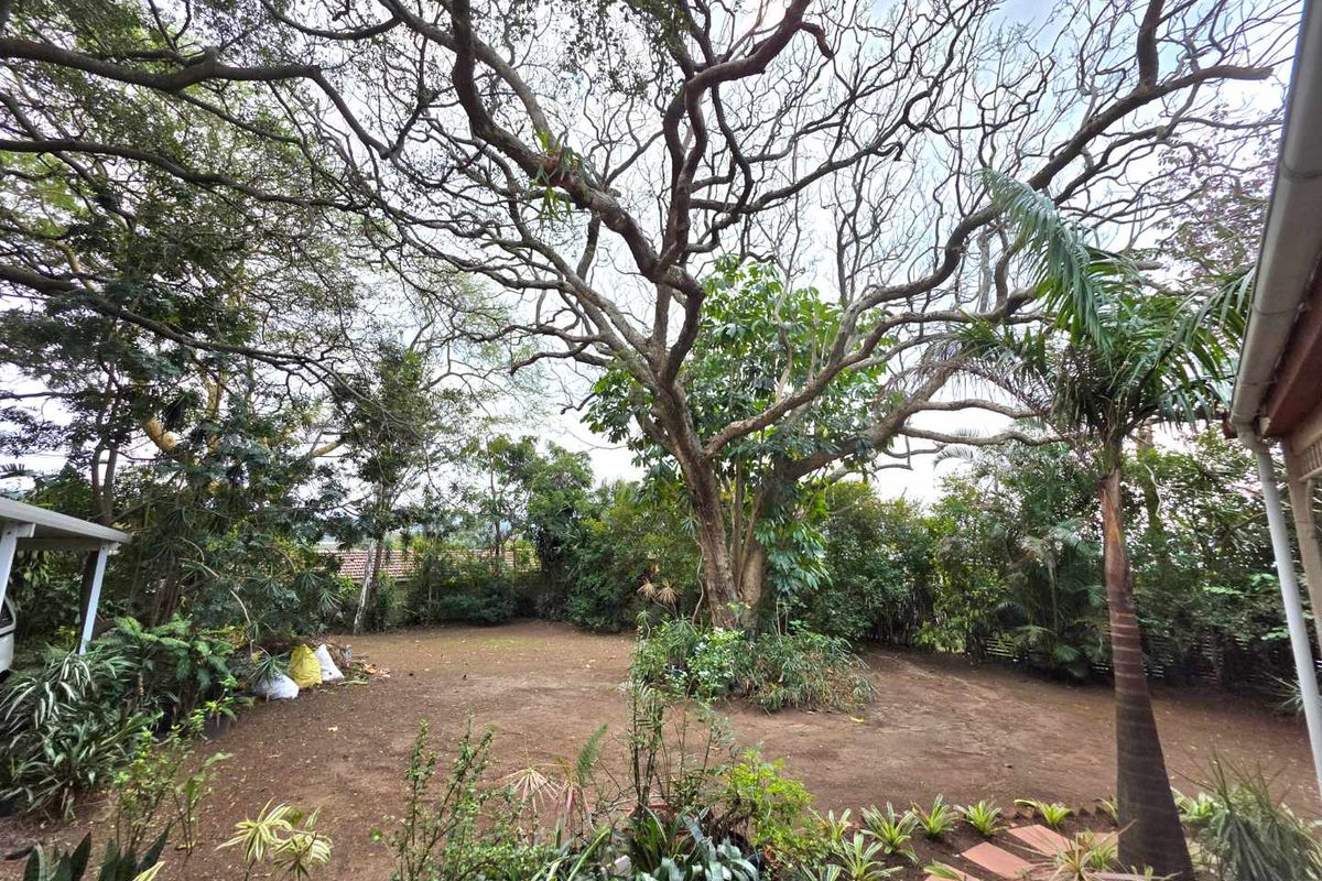 Old Style Beautiful 4 Bedroom Family Home - Photo 4