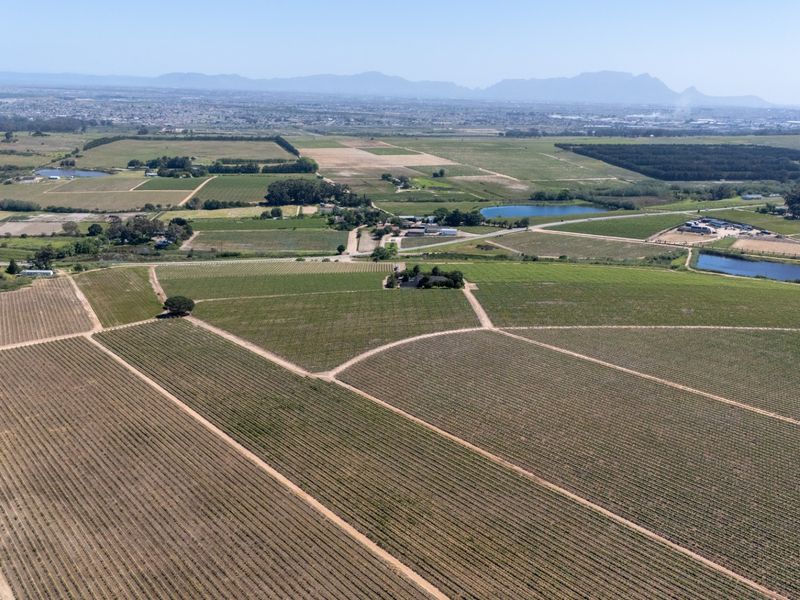 An expansive aerial view of the farm property, showcasing extensive vineyards, multiple farm dams, and established access roads across the landscape.