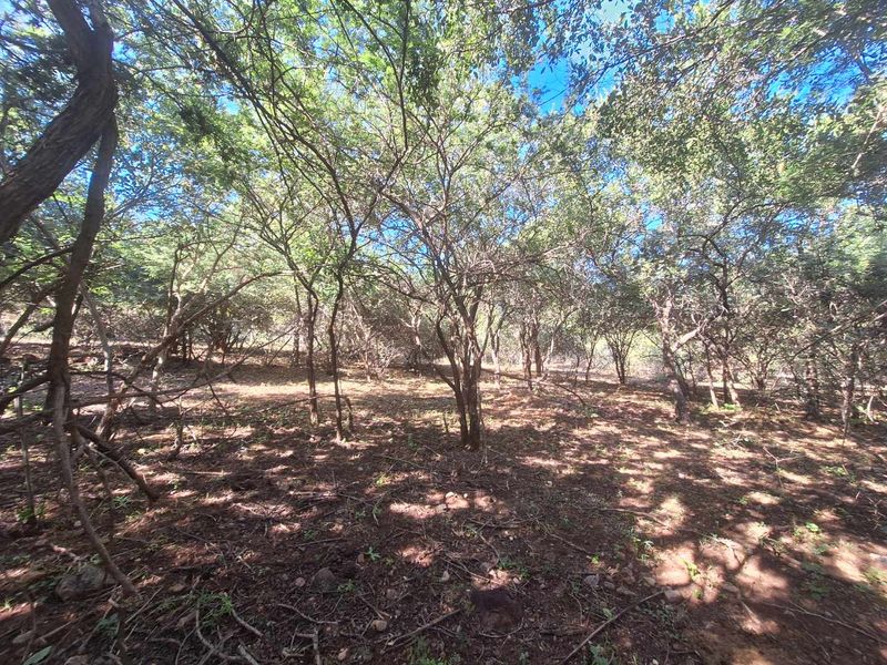 Escape to Leeupoort - Natures Sanctuary Near Pretoria - Photo 7