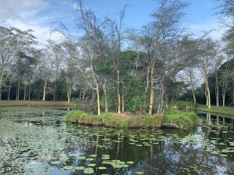 New, 4-Bedroom Family Home – to be constructed in Blyde Wildlife Estate - Photo 9