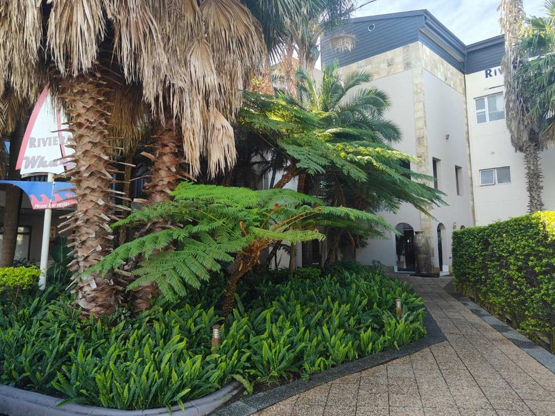 Effortless Returns: Income‐Producing Suite in The Riviera Wharf Hotel - Photo 6