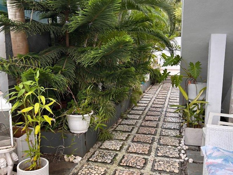 A landscaped garden pathway featuring decorative stone pavers and lush tropical greenery along the side of the property.