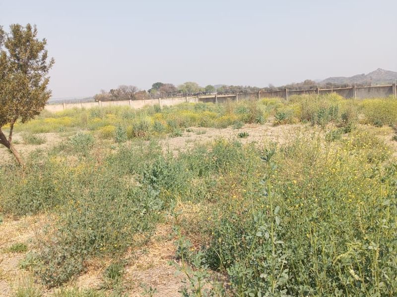 Build your dream house - Photo 3