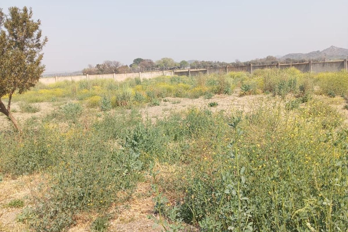 Build your dream house - Photo 3