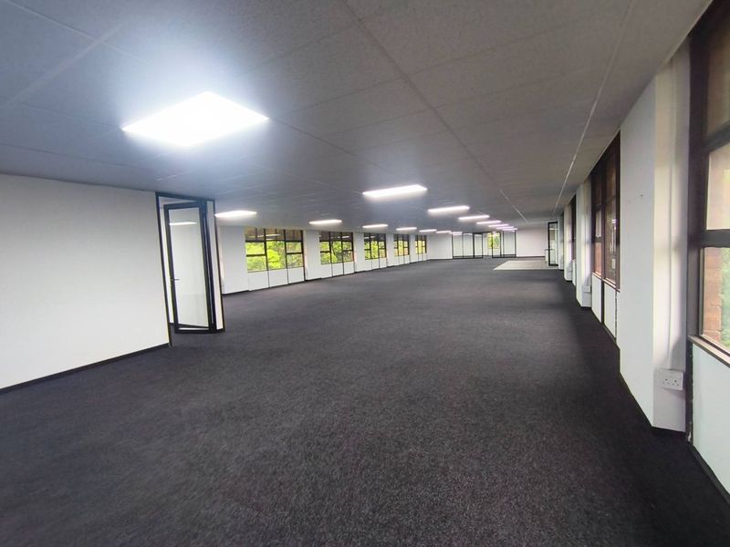 A spacious, open-plan office area featuring neutral carpeting, suspended ceiling tiles with recessed lighting, and large windows providing ample natural light.
