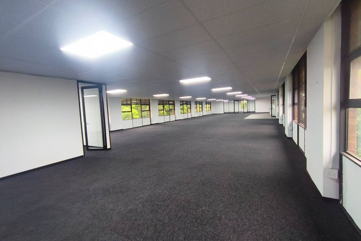 A spacious, open-plan office area featuring neutral carpeting, suspended ceiling tiles with recessed lighting, and large windows providing ample natural light.