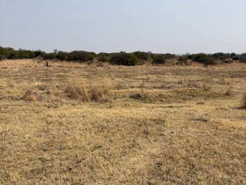 UNDEVELOPED FARM FOR SALE - Photo 7