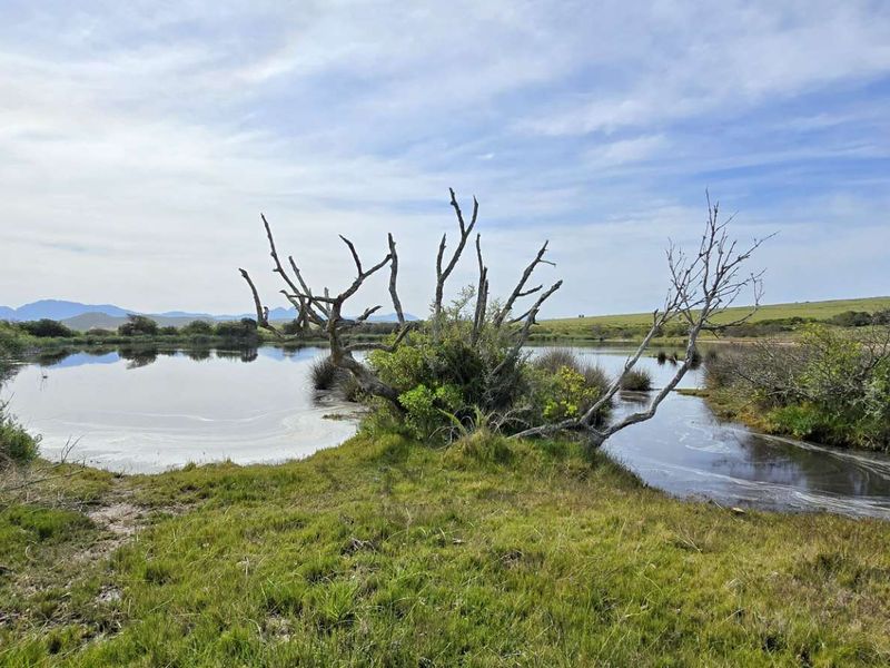 Prime 262ha Agricultural Farm for Sale Near Hartenbos - Photo 3