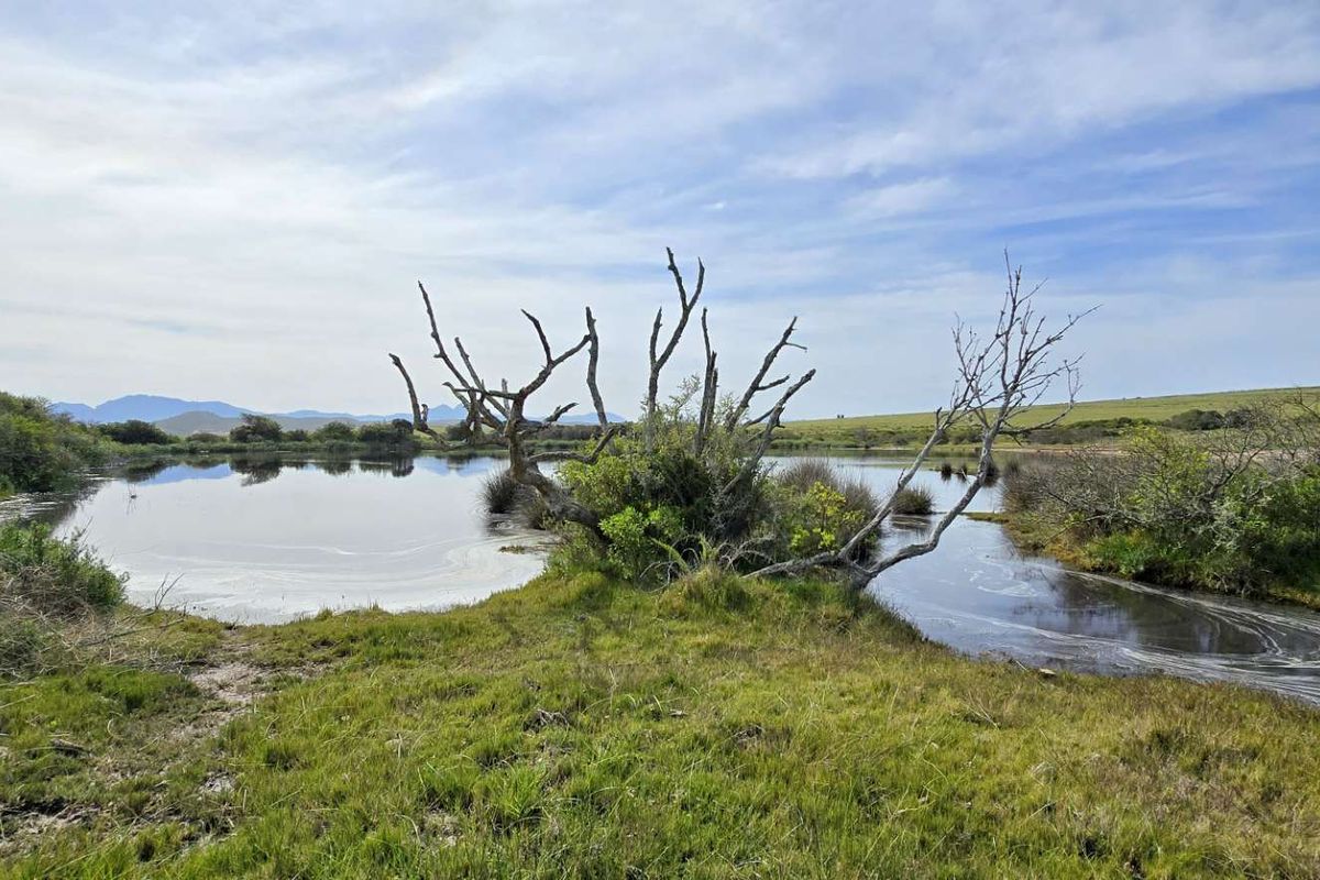 Prime 262ha Agricultural Farm for Sale Near Hartenbos - Photo 3