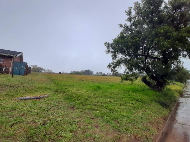 LARGE SIZED PLOT - Photo 4