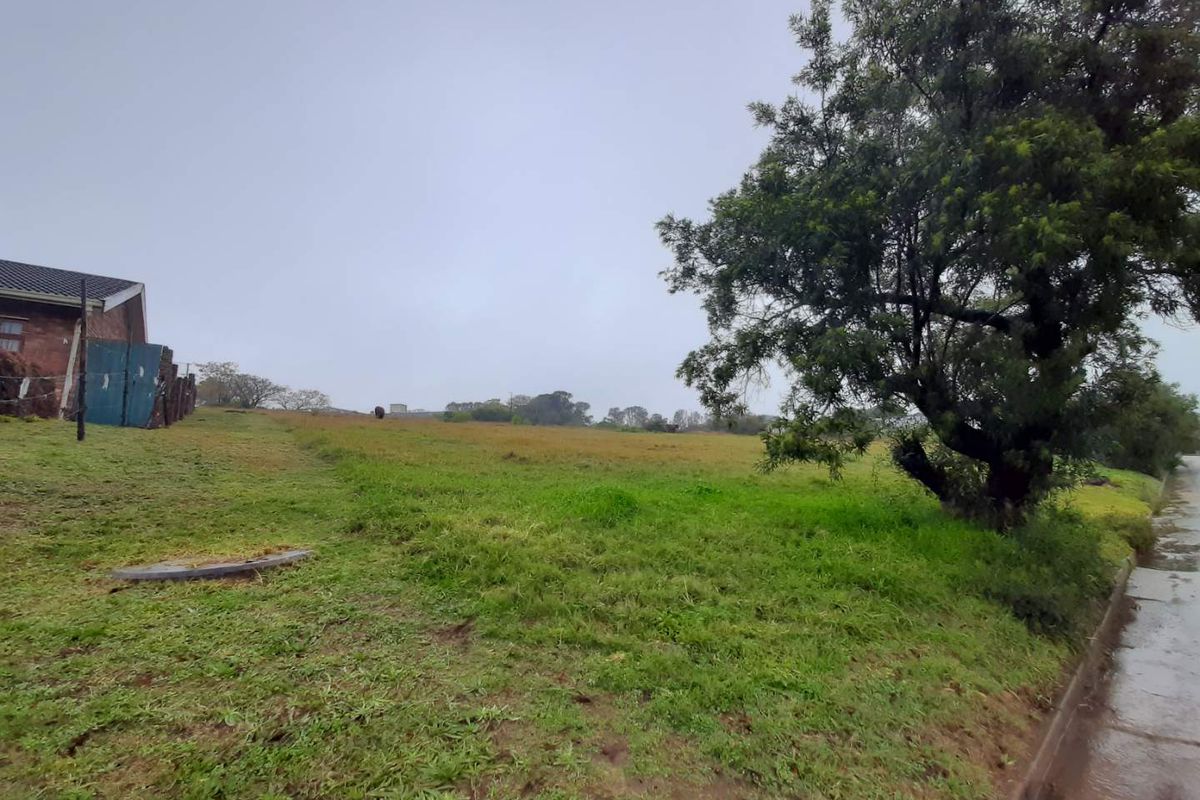 LARGE SIZED PLOT - Photo 4