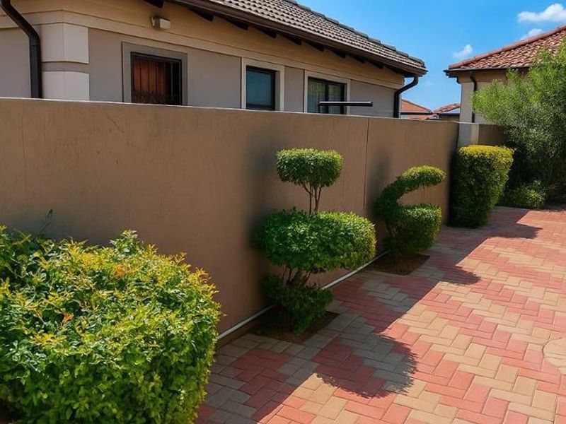 A well-maintained rear exterior area featuring paved flooring, a solid boundary wall, and neat landscaping against the house facade.