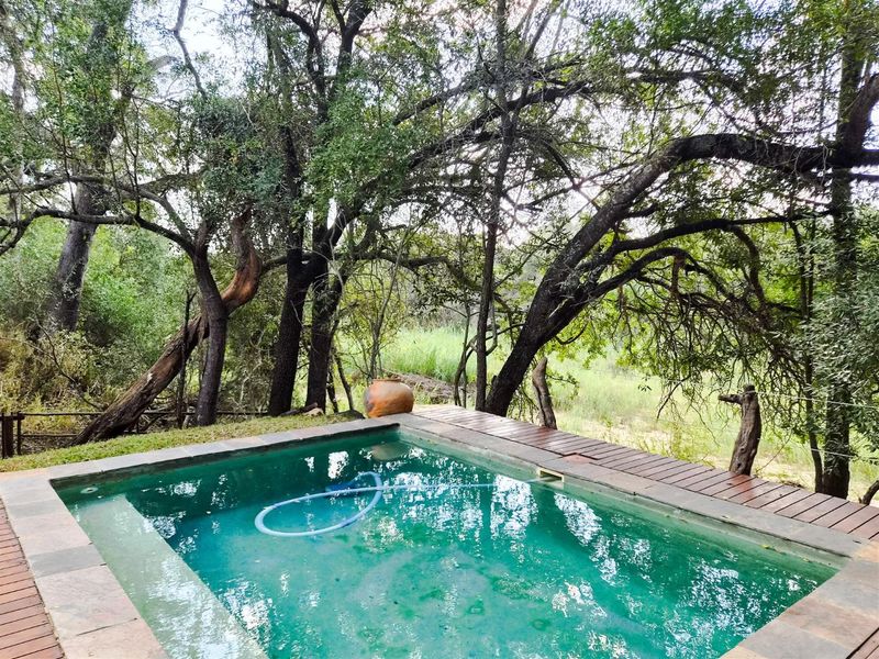 A swimming pool area featuring timber decking and stone coping, set within a natural, wooded garden environment.