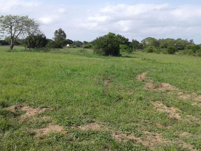 Vacant Land in MTUBATUBA - Photo 4