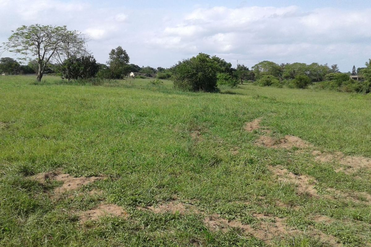 Vacant Land in MTUBATUBA - Photo 4